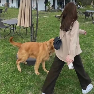 青春浪花